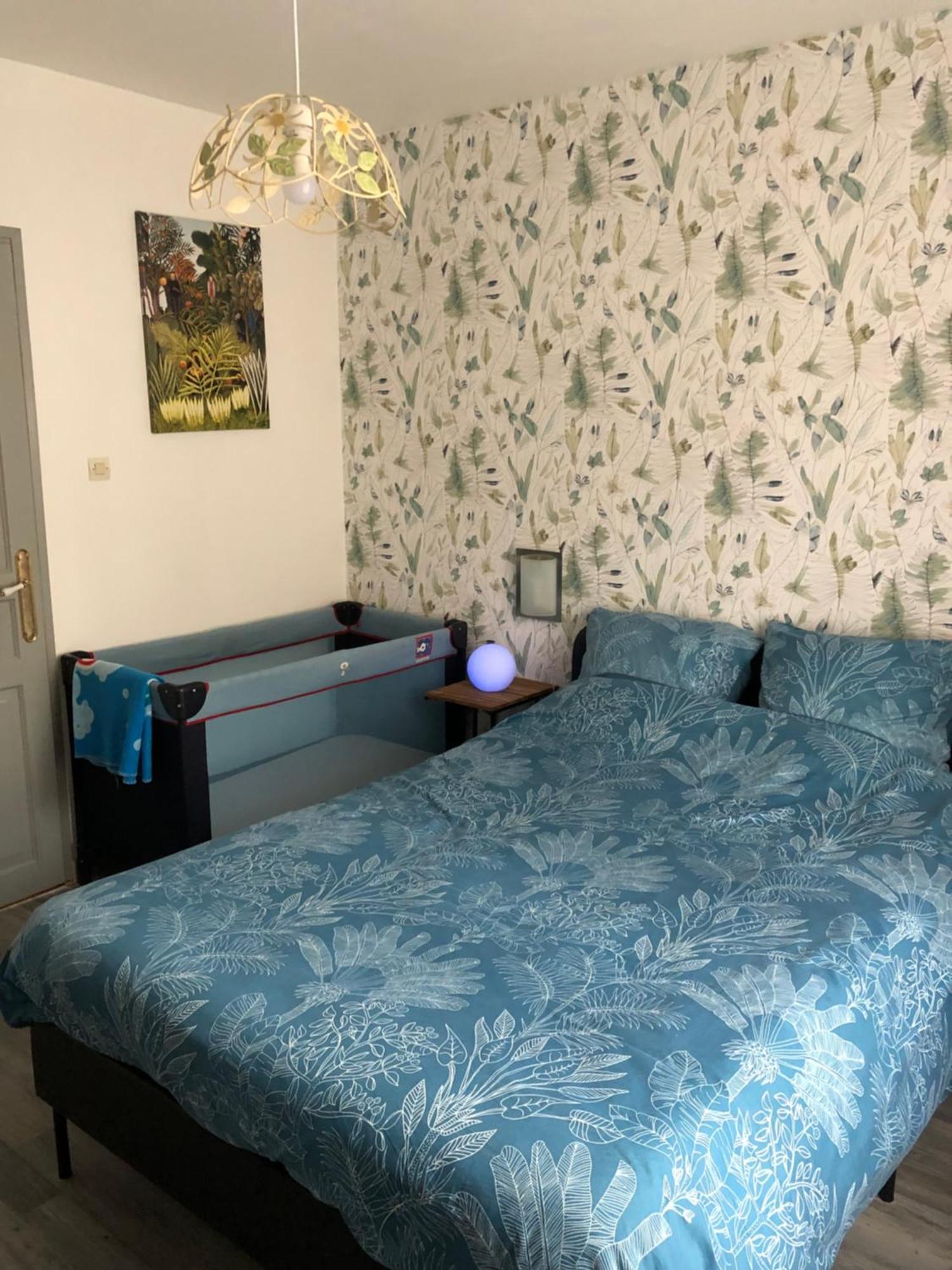 Gite Les Acacias Colmar Extérieur photo